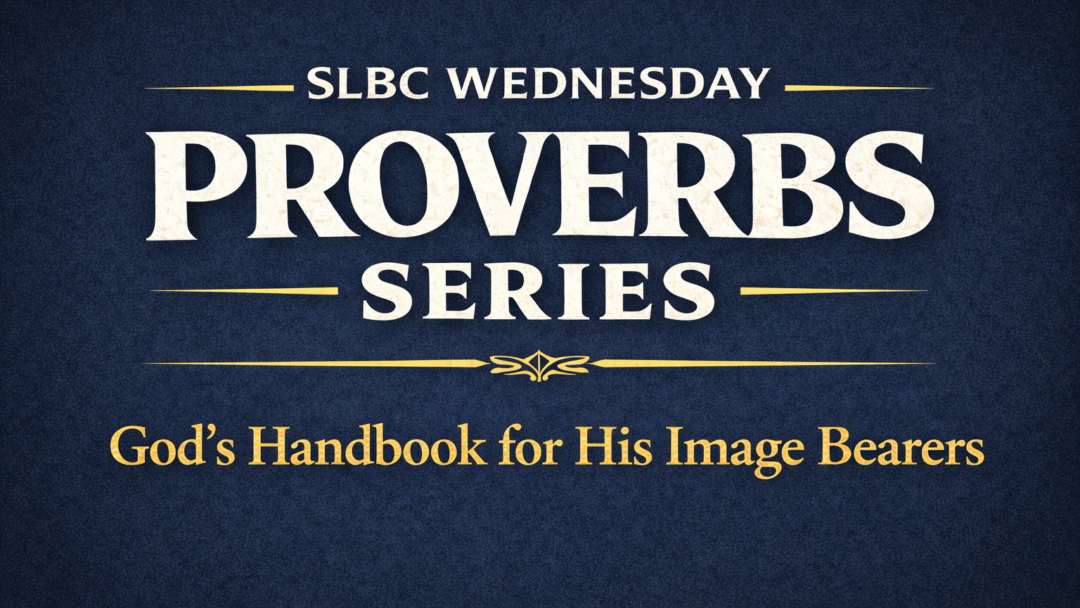 Dive into Proverbs with Our New Bible Study Series